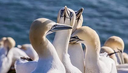 开云体育_ 不同年龄段运动员的训练需求与调整，体育训练开始年龄