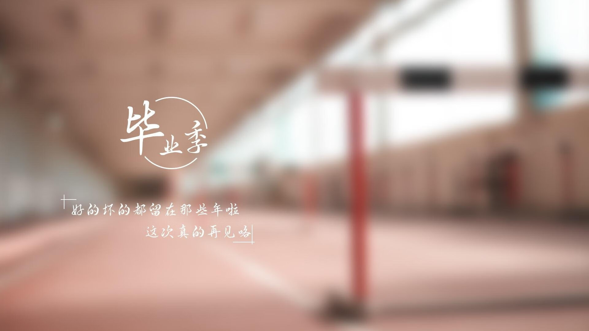 “尼克斯球迷狂欢，主场迎来关键胜利”，尼克斯大牌球迷