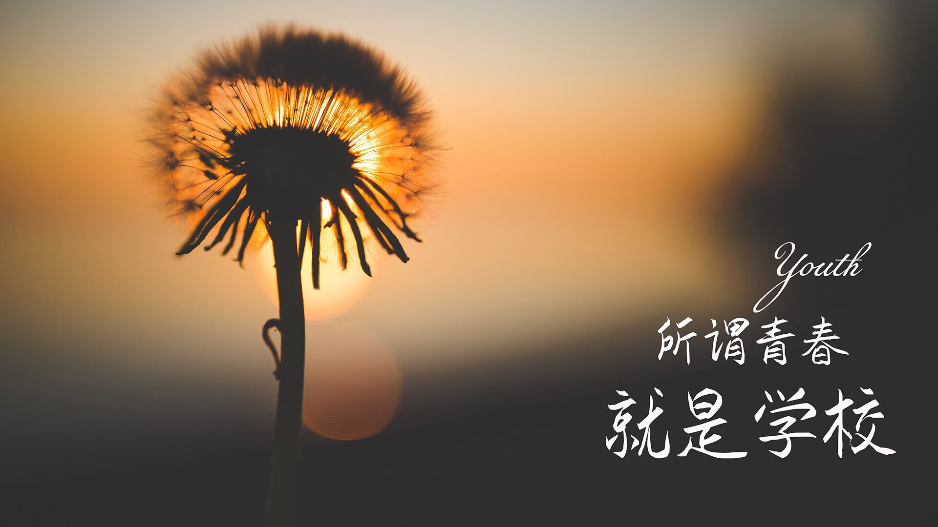 一战定江山：欧冠“决战夜”的荣耀时刻，欧战冠军