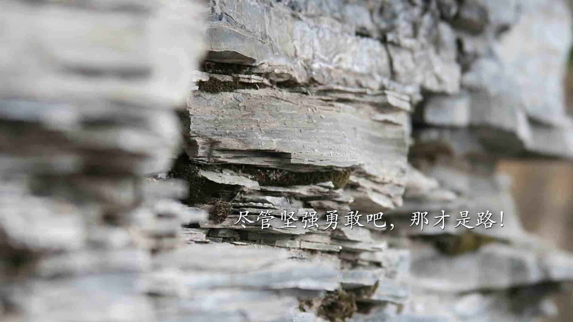 伊朗联赛关键比赛吸引关注，伊朗球队