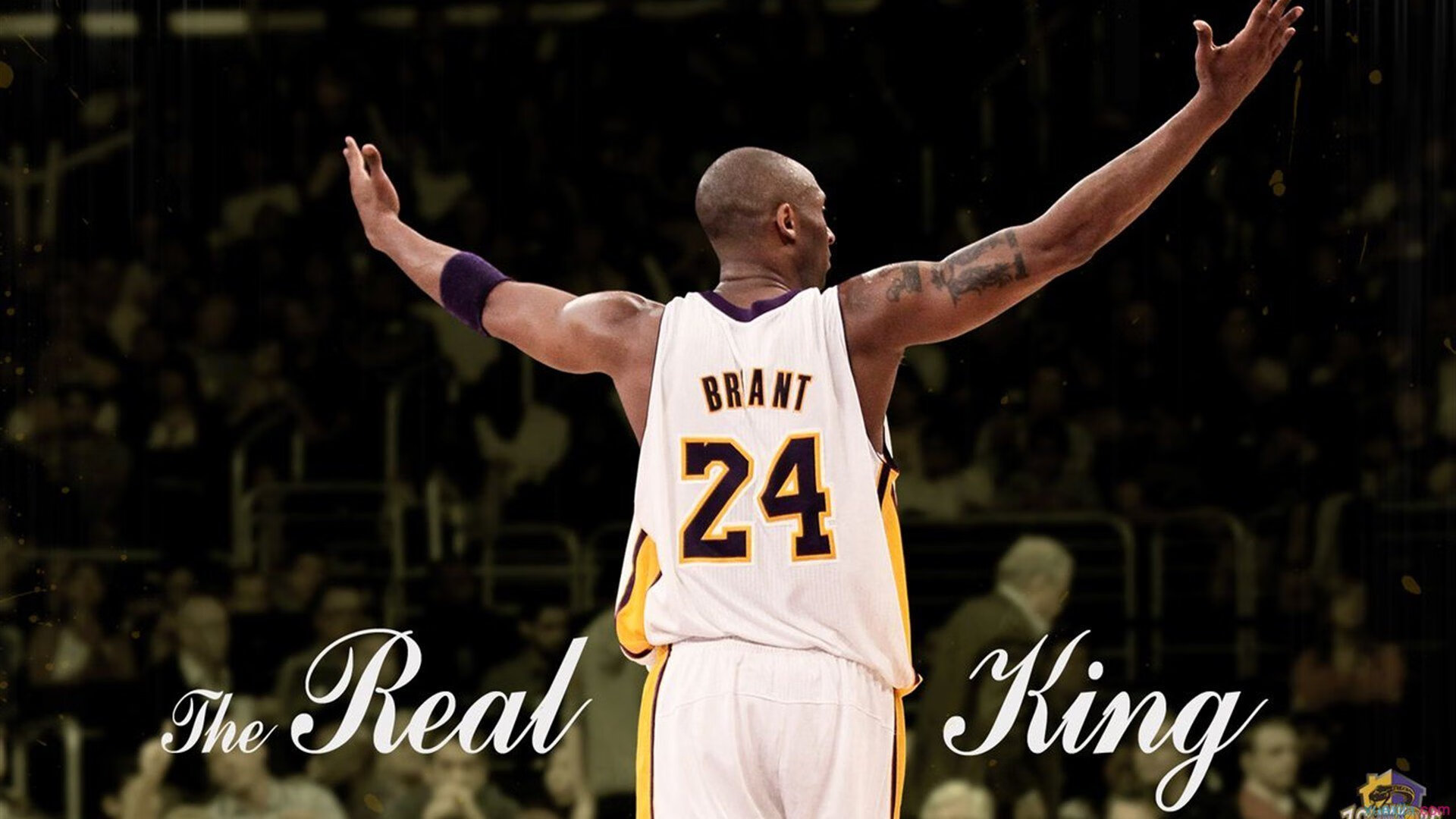 NBA裁判协会首次引入女性主席，开创历史先河，nba裁判介绍