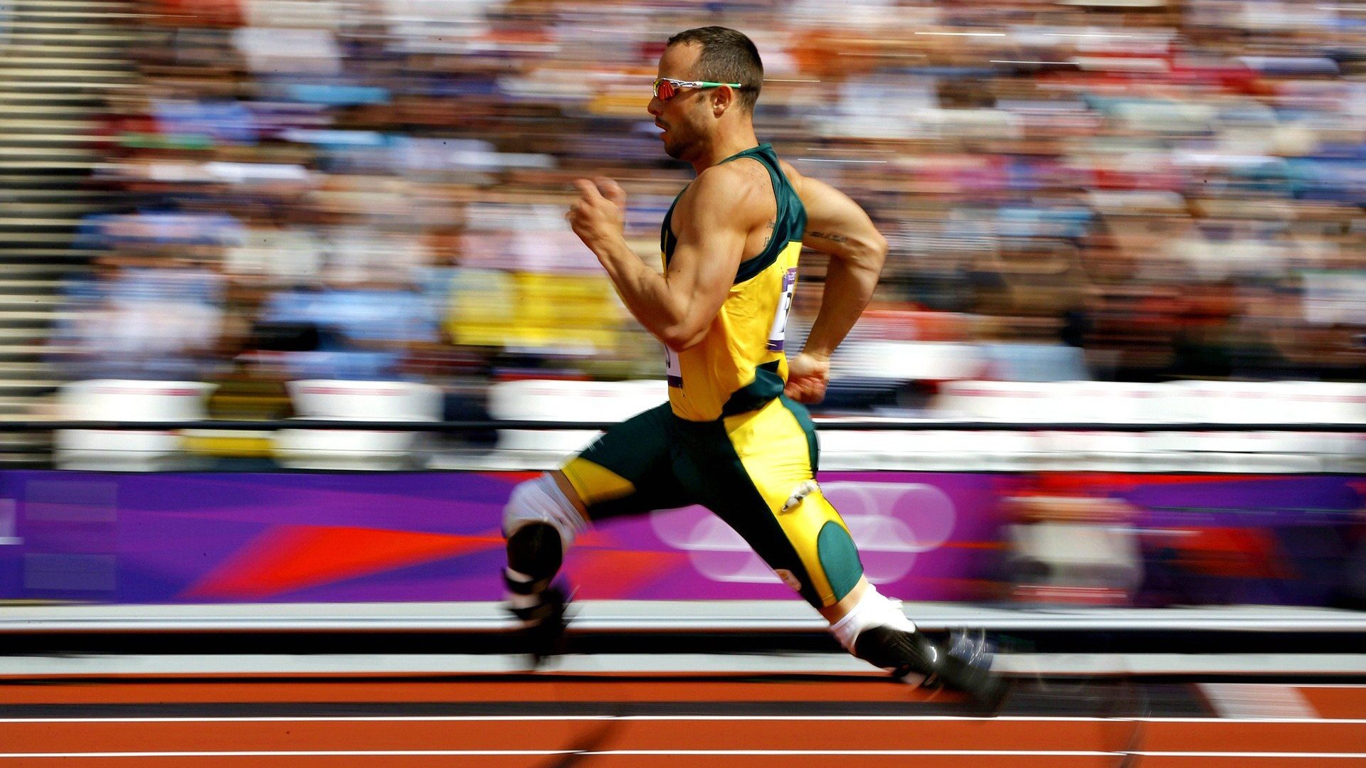 “明星阵容全员到场，庆典与比赛完美结合”，明星阵容什么意思